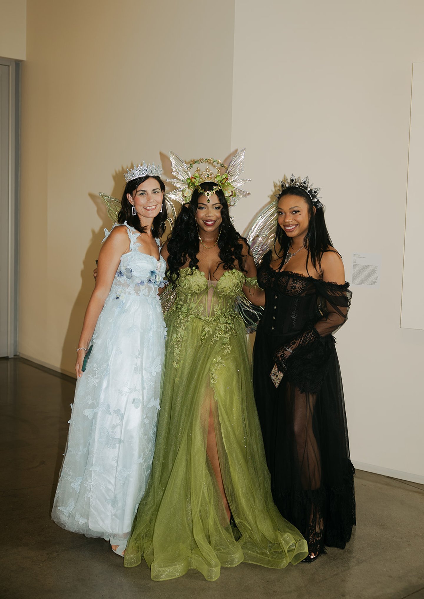 Costumed guests gathered at The Night Court Ball